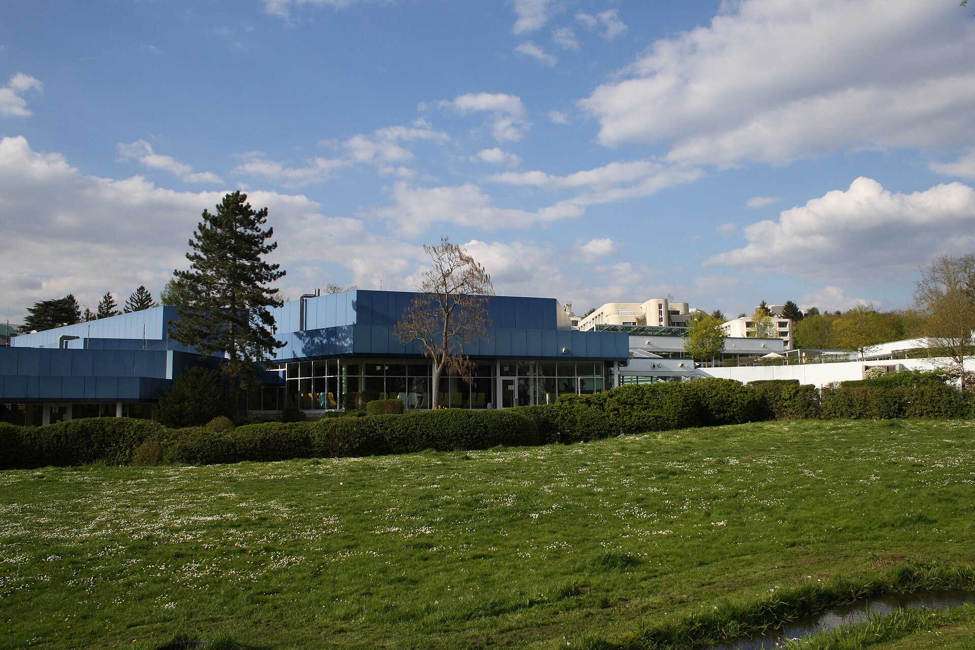 Aukamm